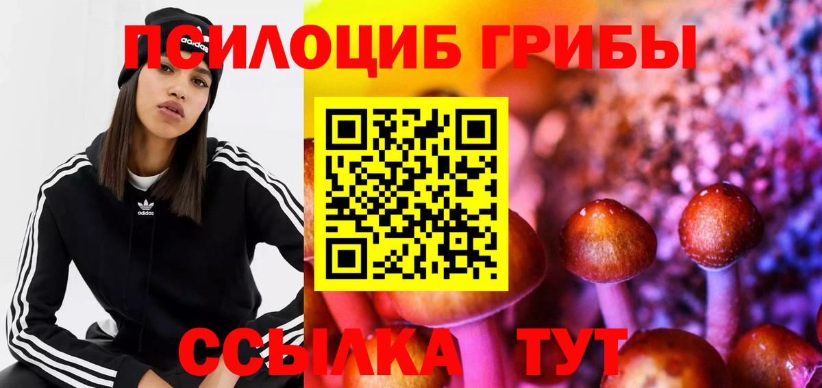 Гусиноозёрск  Псилоцибиновые грибы Magic Shrooms  Галлюциногенные грибы прущие грибы  Вход с VPN 